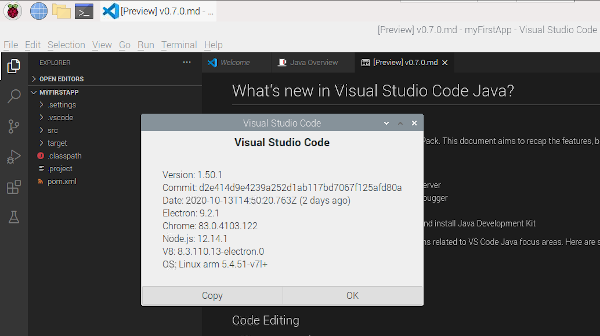 Visual Studio Code 1.50.1 running on 32-bit Raspberry Pi OS