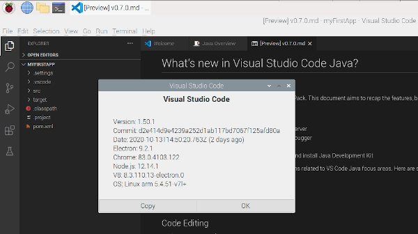 Visual Studio Code on the Raspberry Pi (with 32 and 64-bit OS) |  