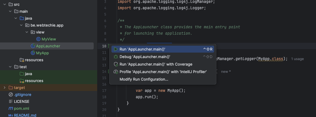 Running the application in IntelliJIDEA