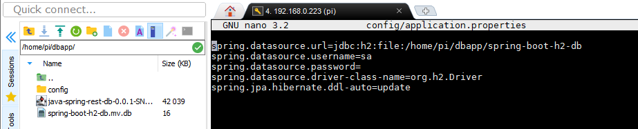 Database application and properties on the Pi