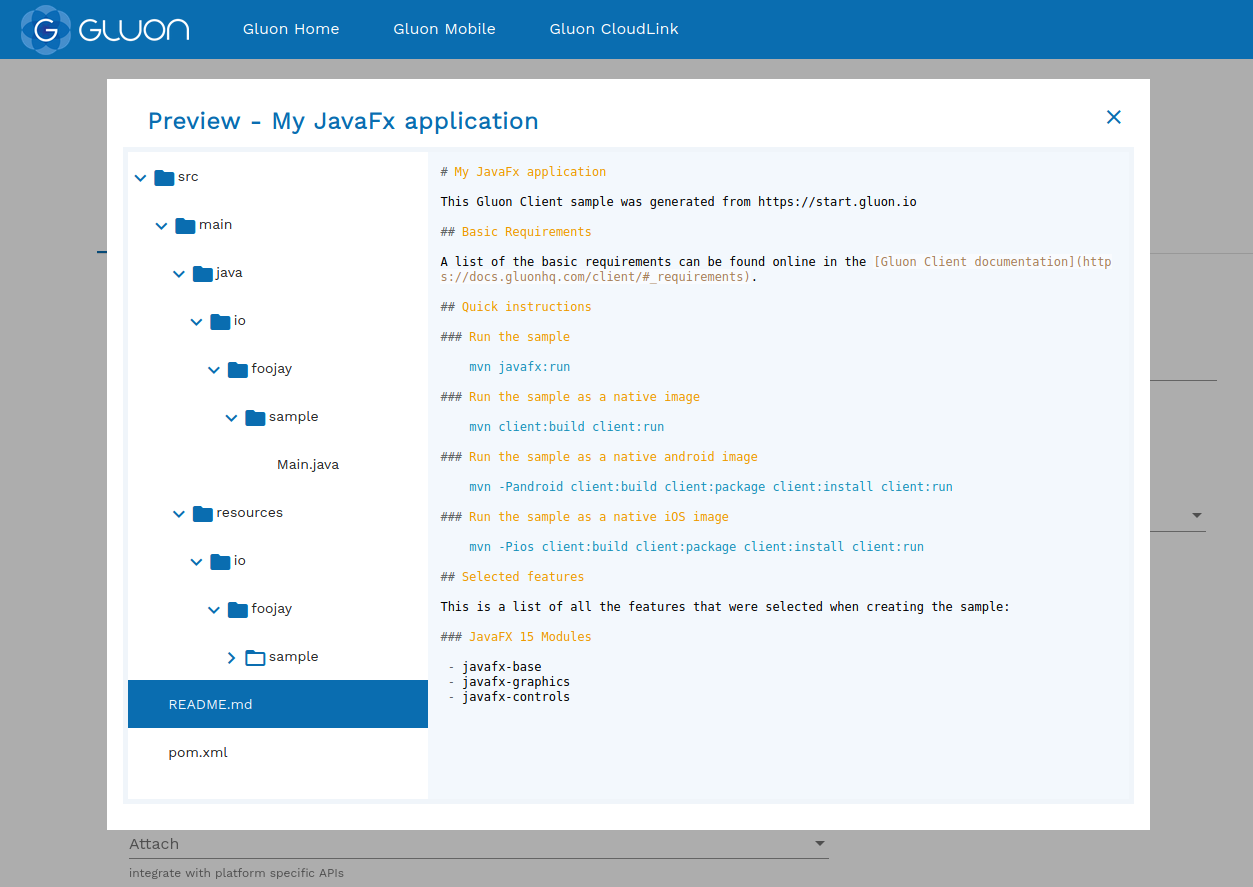 Preview of the project before downloading